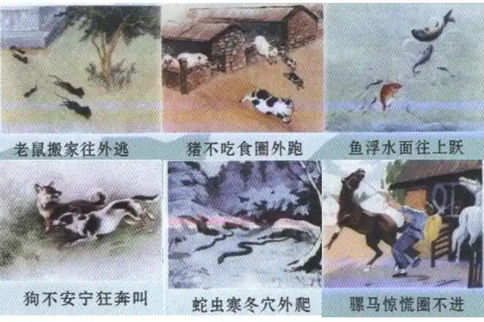 广州院士专家校园行涨知识如何辨别地震前兆掌握自救常识这场讲座干货