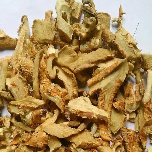 知母 知母肉丁 产地 安徽省亳州市大货批发价