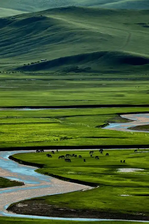 内蒙古5日地方旅游,推荐!_文化_呼和浩特_草原