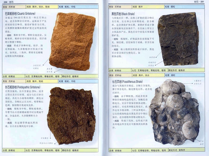 岩石的分类(图文版)
