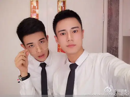 一对双胞胎帅哥 许振介许振彪 - 江沙 - 闲云野鹤