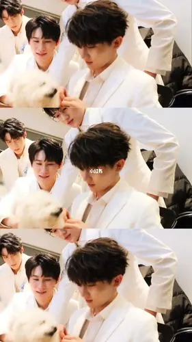 小马哥一定是想六斤了看见狗狗