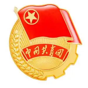 新版标准型团徽中国共青团高档款团员徽章团徽学生别针式磁扣胸章