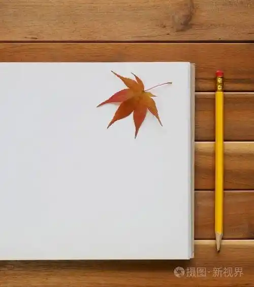 素描书铅笔和枫叶