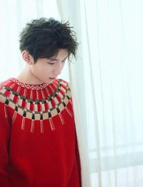 王源lanvin红毛衣图片王源品牌活动帅气图片
