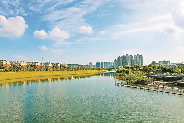 马鞍山市干部群众热议打造生态优的"白菜心"|中安在线马鞍山频道|马鞍