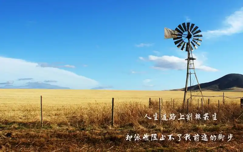 相关标签简约风格的带字励志图片上一图集:唯美青蛇梦幻摄影写真下一