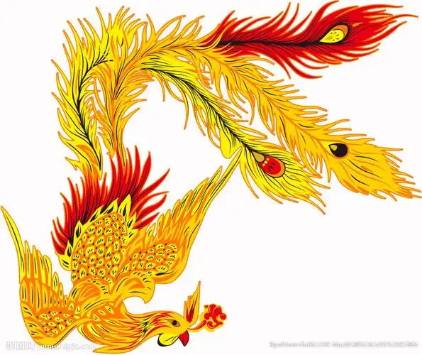 凤凰图片