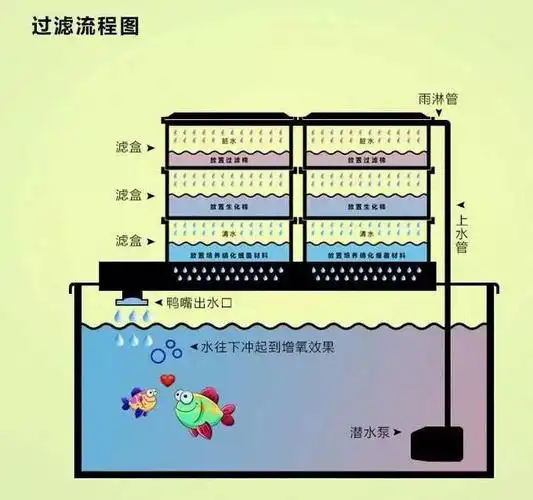 【干货】鱼缸过滤系统原理及种类,如何选择,是否造景——上篇