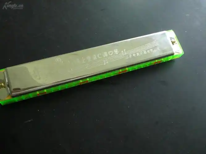 奇美重音c调口琴