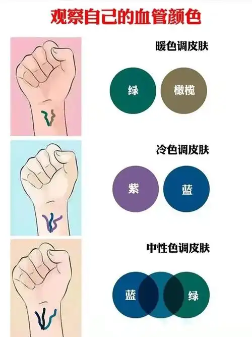 的血管呈现出什么颜色:所以可以想见选择与自己肤色相协调的服饰色彩