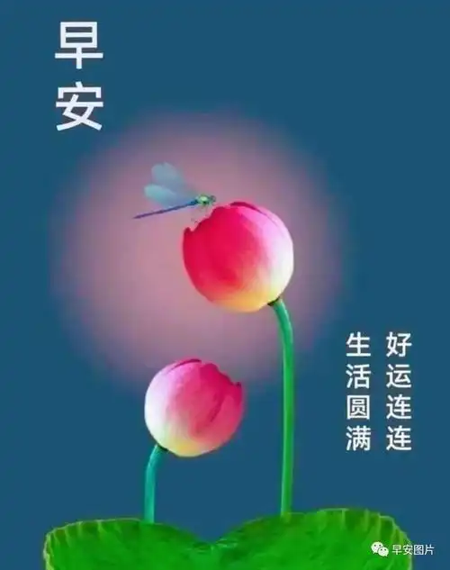 问候祝福图片,微信最美的早安祝福表情祝福语|快乐|清晨|晨曦|幸福