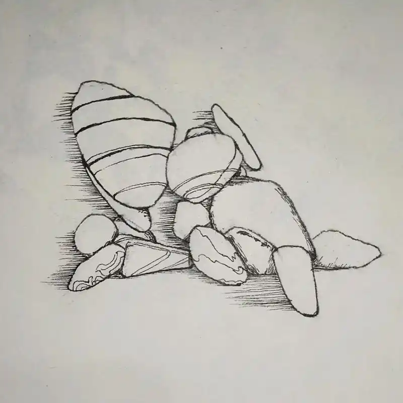 第291天,手痛啊.#钢笔画 #手绘 #日常瞎画 #简笔画 - 抖音