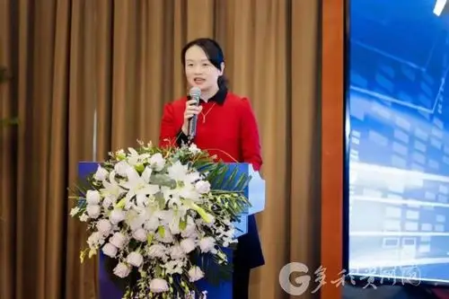 观山湖区科技局局长陈娟发言