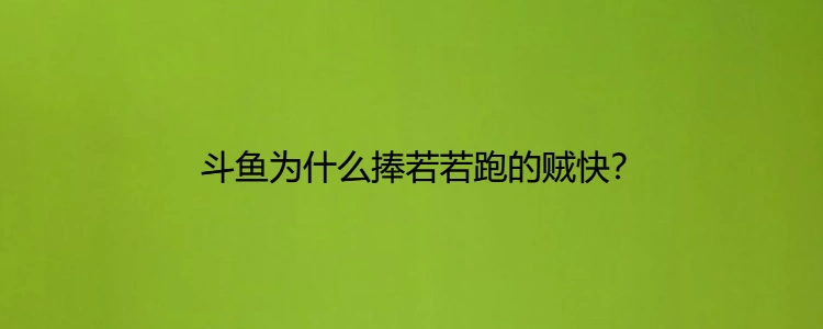 斗鱼为什么捧若若跑的贼快?