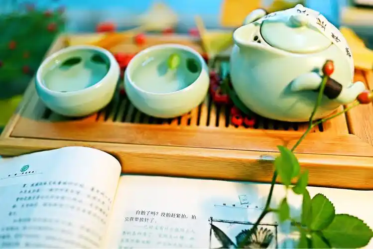 品一壶香茗,读几行文字.