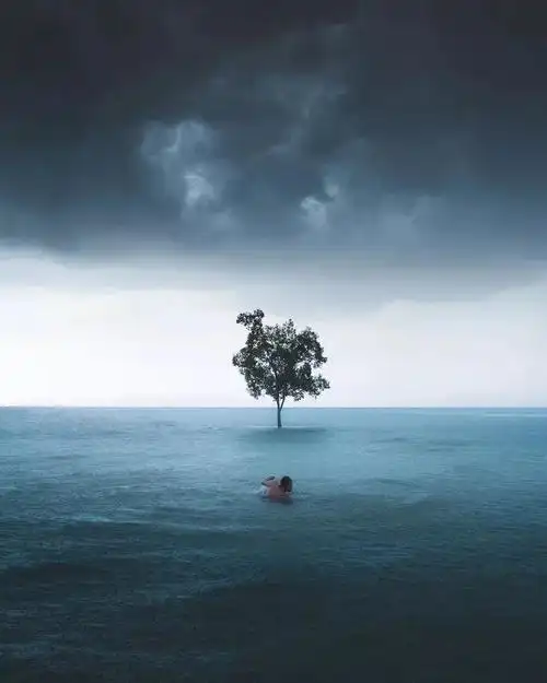 领悟人生需要的十种意境