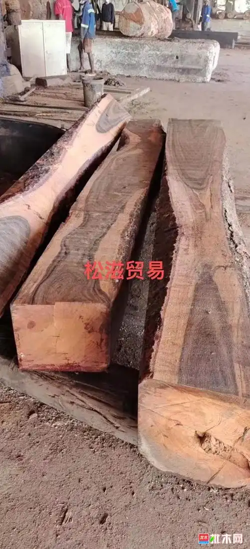 非洲黑酸枝 马尾木 - 批木网