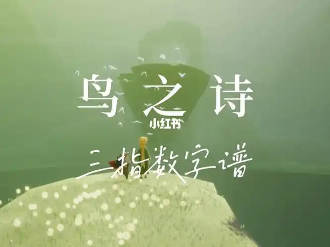 光遇琴谱  #鸟之诗