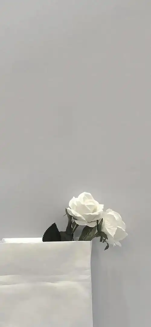 有没有简约背景图