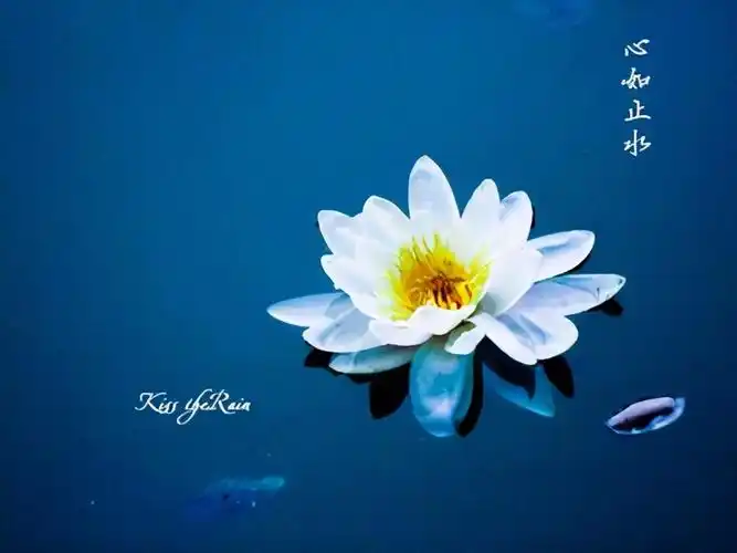 形容心境淡然的成语有哪些(心境淡然的唯美短句)-互汇语录网