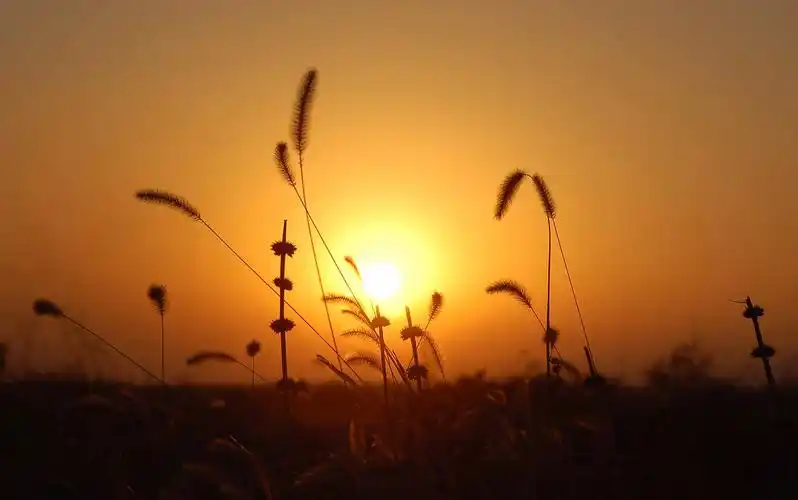 [落翅女的黄昏吉吉影音]田佳秀的素颜照-落翅女的黄昏无需播放器-韩国