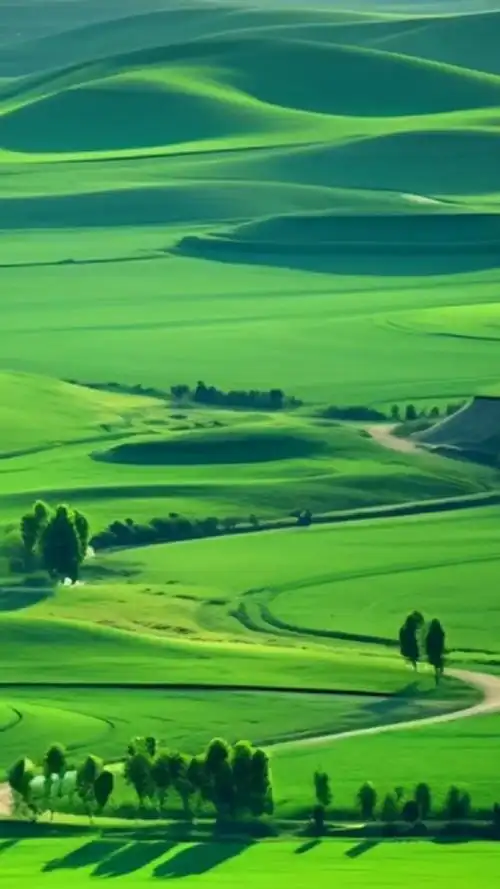 大山深处自然美山清水秀好风光 #蓝天白云绿草地这风景太美了 - 抖音