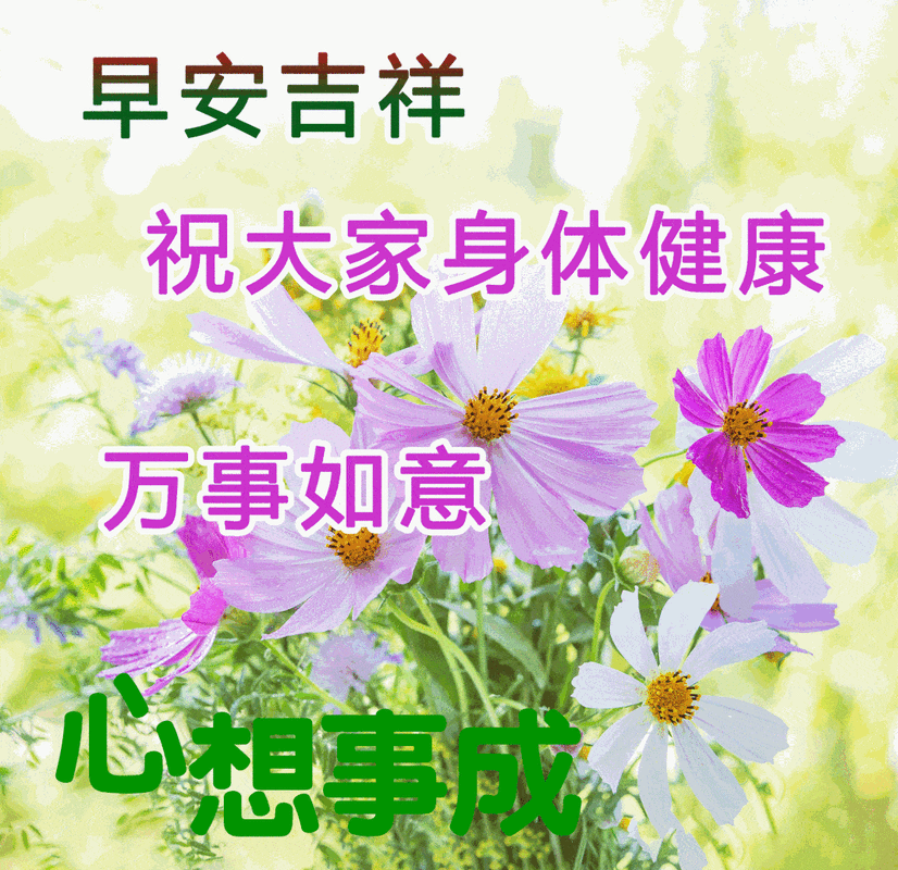 原创最新最美的早上好问候图片带字祝福大家早上好的图片