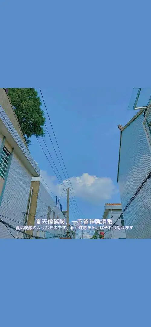 全面屏壁纸抖音文字壁纸背景图