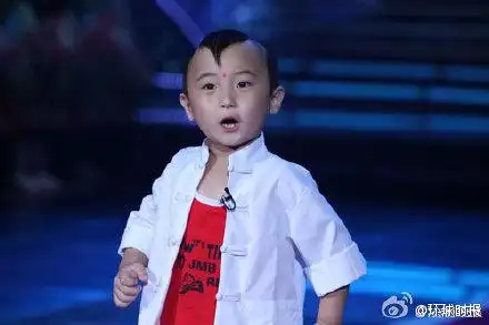 "春晚福娃"邓鸣贺患白血病去世 哈文发文悼念