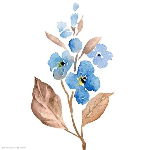 小清新水彩手绘蓝色花卉植物元素