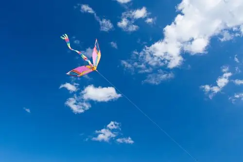 放风筝,空中,有趣,兴奋,孩子