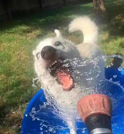 全网最细优缺解析_华为_手机_铰链