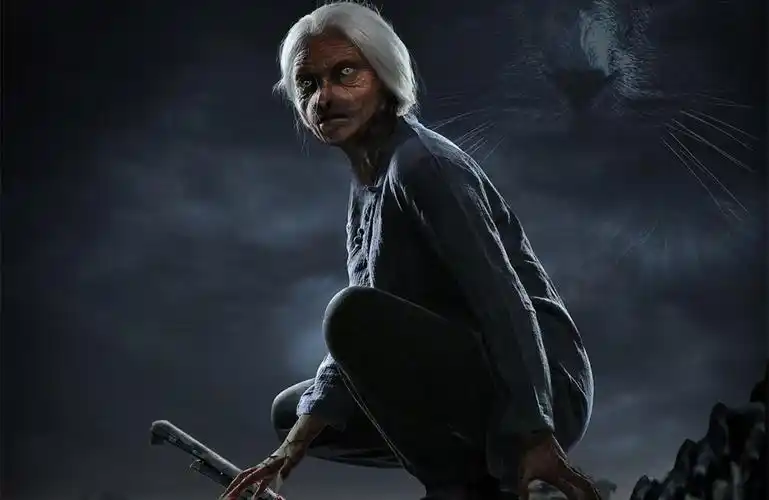 曾震惊黑龙江的猫脸老太太事件-奇闻录