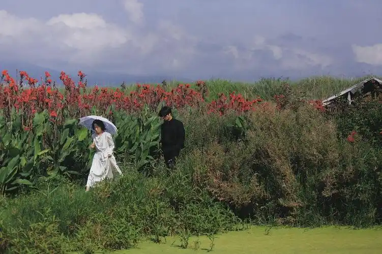 求类似的平板壁纸配对做桌面和锁屏壁纸