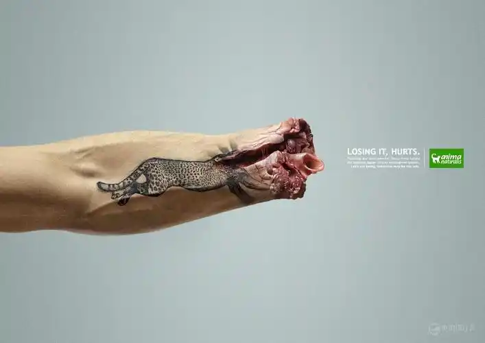 三组国外优秀平面广告设计欣赏