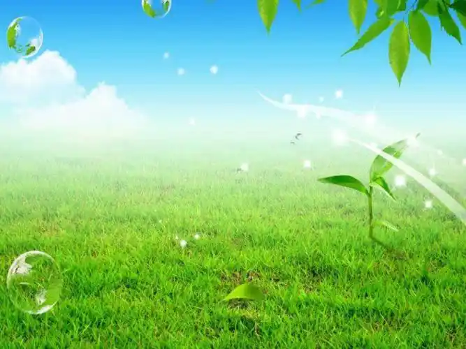 [教育学]清新 淡雅 自然 简约 高清 办公 教学 ppt 背景 模板 图片