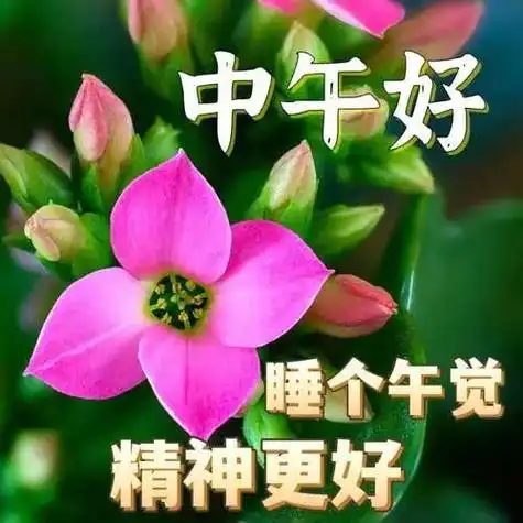 中午好图片大全中午好问候中午好祝福中午好表情包