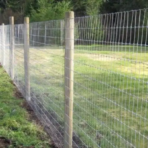 草原牧场防护网养殖围栏铁丝网牛栏网批发镀锌丝养殖牛栏网