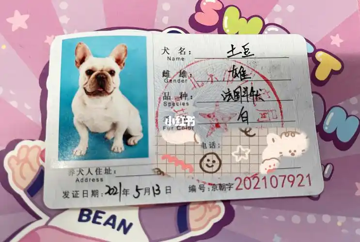 北京朝阳东坝办理狗证