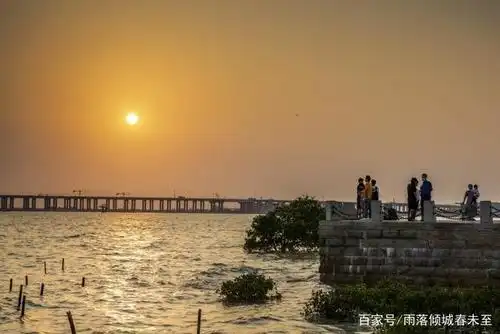 固戍码头掠影:站在观海平台观赏日落,感受海天一色