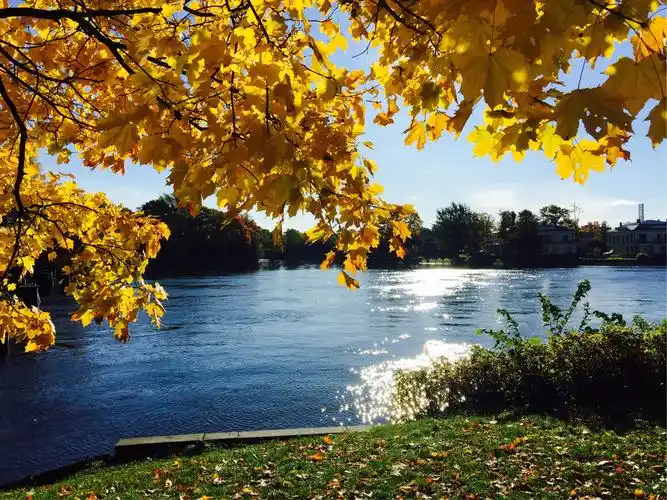 俄罗斯秋天景色美不胜收