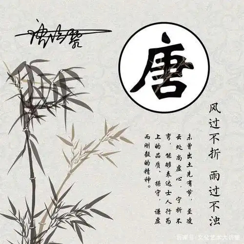 喜欢竹子的低调淡雅,14张竹子带姓氏的头像,悄悄送给有缘人