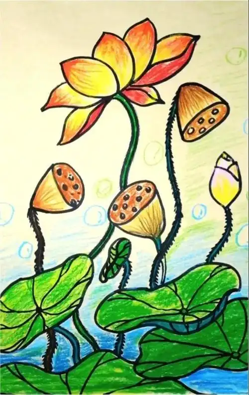 儿童画|荷花