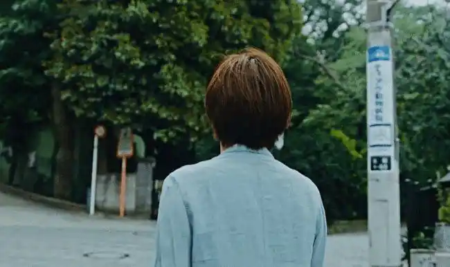 女明星扎推剪短发有的翻车有的好看