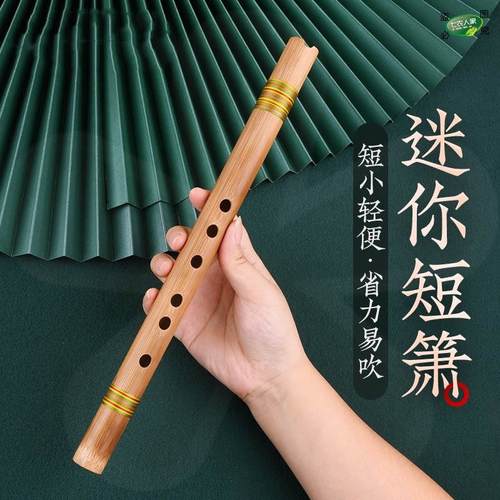 箫乐器初学者零基础入门儿童成人专业演奏苦竹迷你短萧用嘴吹奏类