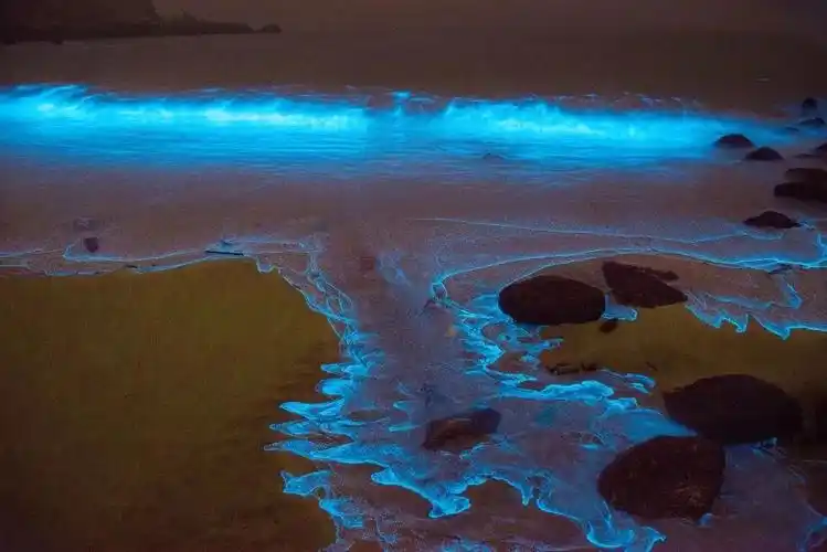 周末趣游看平潭绝美蓝眼泪邂逅初夏限定浪漫