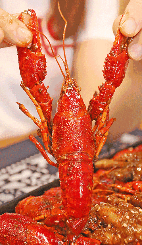 88元抢四斤小龙虾套餐!香辣/油焖任你选,鲜感max!