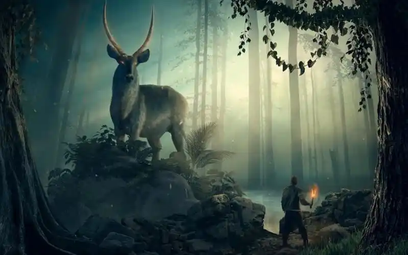 ps进阶教程:教你用ps合成创意场景海报(迷雾森林)视频素材源自大神