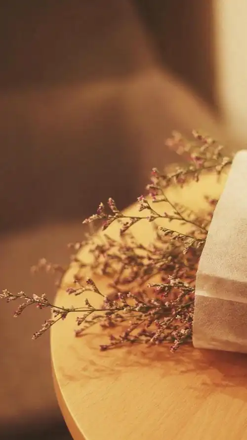 森系复古色调静物,高清图片,手机锁屏桌面-壁纸族